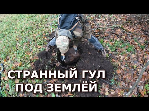 ОГО... Я просто шл и тут из под земли услышал гул! Я начал копать и нашел причину!