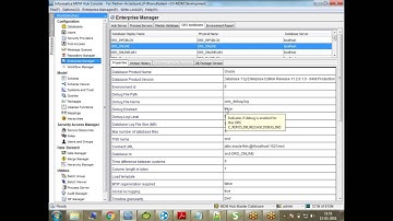 Informatica MDM 10.1 Enterprise Manager | Informatica MDM Tutorial