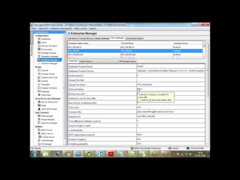 Informatica MDM 10.1 Enterprise Manager | Informatica MDM Tutorial