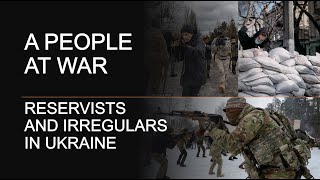 Reservists and irregulars in Ukraine - 