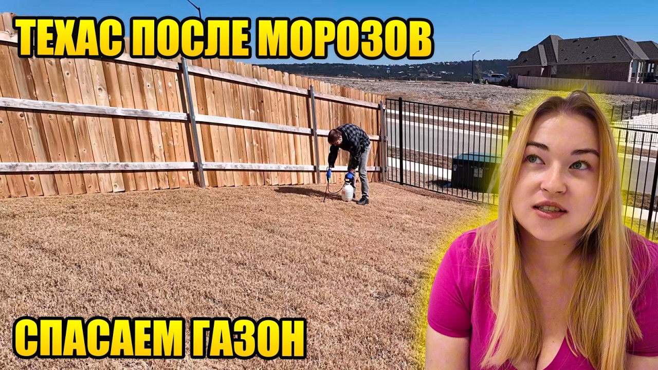 Техас после морозов: сорняки лезут, кошка на голоде и странная селёдка из HEB 😳