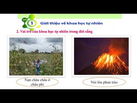 BÀI GIẢNG KHOA HỌC TỰ NHIÊN 6 TUẦN 1 (Từ ngày 06/9/2021 đến 11/9/2021)