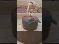 И снова торт-пенёк #торт #тортпенек #тортик #тортпрага #cake #praguecake #pastry #chocolatecake