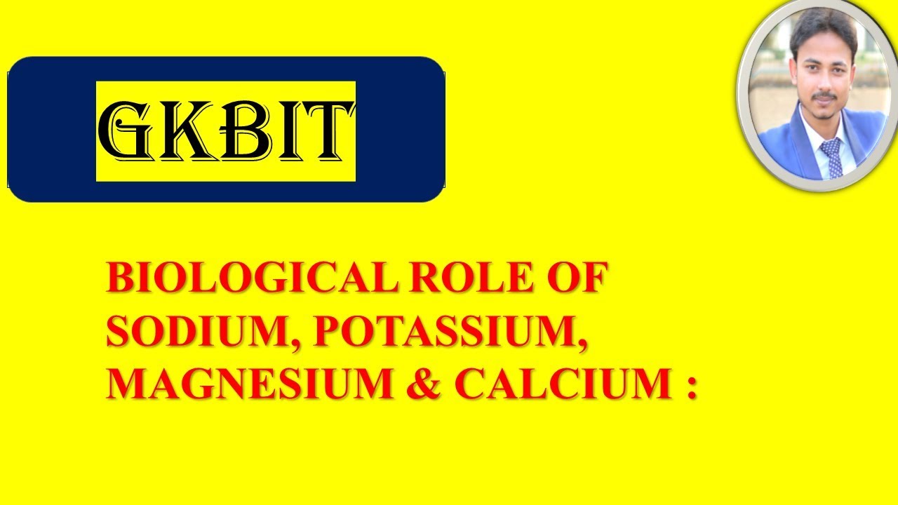 BIOLOGICAL ROLE OF SODIUM, POTASSIUM, MAGNESIUM & CALCIUM YouTube