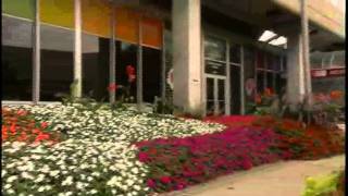 Rosemont: The Village that went to Town