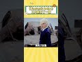 Fantastic Baby 又火了一段 真不愧是仙品中的仙品 Kpop Music Bigbang Fantastic Baby 又火了一段 真不愧是仙品中的仙品 Kpop Music Bigbang
