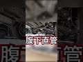 【音量注意】210クラウンの腹下直管【V6のいい音】