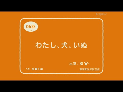 わたし 犬 いぬ 黒柴犬 梅バージョン Youtube