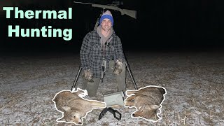 Thermal Hunting Coyotes | GAME CHANGER 2 Coyotes Down