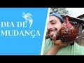 Trocando as Aves de Viveiro | Gutejando