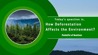 How deforestation affects the environment?