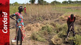 Climate-resilient food production in South Sudan | Cordaid