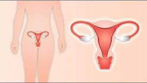 Abdominal Hysterectomy CPT code - simplify medical coding