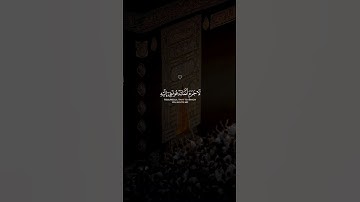 القارئ الشيخ ياسر الدوسري تلاوة خاشعة #اكسبلور #قرآن #explore #quran