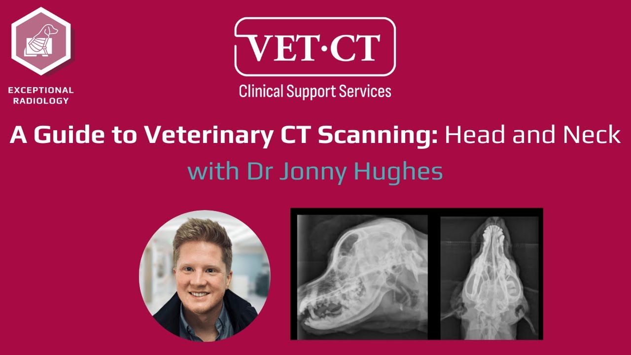 A Guide to Veterinary CT Scanning - Head and Neck