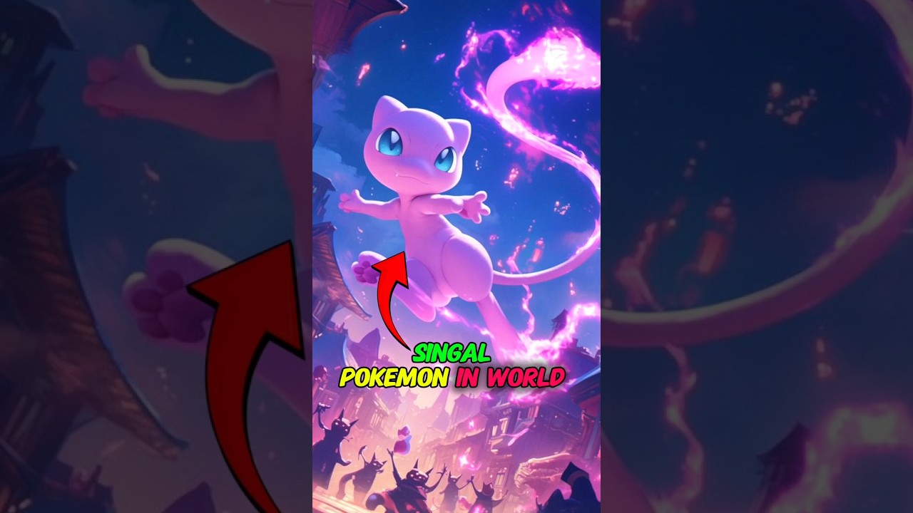 The Top 5 Best Single 