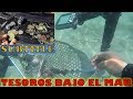 Encuentro monedas antiguas bajo el mar! Subtitle Treasure hunting underwater
