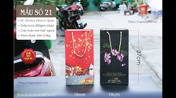 Túi giấy đựng rượu - Mẫu số 21