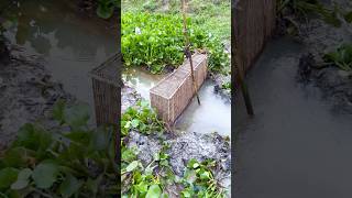 Macchli Pakerneka Naye Tarika 195 Hindi Village Fishing Trap Hindi Fishing Vlog