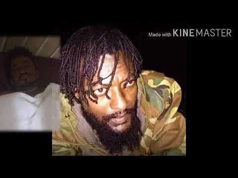 Oduu Amme Mootumman Ajjeechaa Haacaaluu Hundeessaa Ukkaamsuuf Hojataa Jira Jaal Maarroo Dirribaa