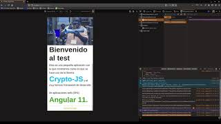 Aplicación sencilla usando Crypto-JS en Angular 11
