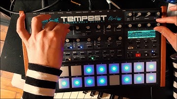 Afro Electro Minimal impro in Tempest by Dave Smith Instruments