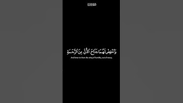 واخفض لهما جناح الذل من الرحمة | كرومات شاشة سوداء القران الكريم | القارئ محمد صديق المنشاوي