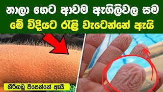 මිනිස් ශරිරය ගැන ඔබ කිසිදා නොඇසූ විශ්මිත කරුණු 12ක් | 12 Things You Didn't Know about Your Body