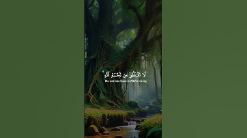 سورة الزمر _ الشيخ احمد العجمى