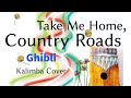 Take Me Home, Country Roads/Whisper Of The Heart - Ghibli (Easy Tabs/Play Along)【Kalimba Cover】