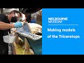 Making models of the Triceratops