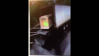 IMG 0614