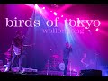 Birds of Tokyo - Wollongong - November 24 2020