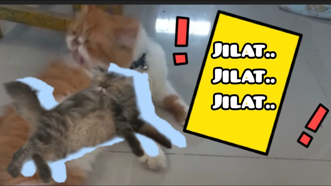 Jilat jilat jepang. Jilat jilat jepang. Jilat jilat jepang. Jilat jilat jepang. Jilat jilat jepang.