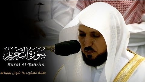 تلاوة فضيلة الشيخ د.#ماهر_المعيقلي من سورة التحريم من صلاة المغرب 14 شوال 1444ه‍