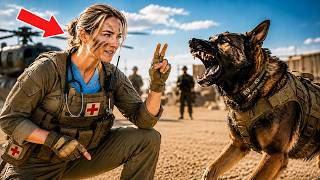 Full The K9 Dog Turned Against Every Handler — Until a SEAL Nurse Softly Spoke a Long-Forgotten Command. Guide