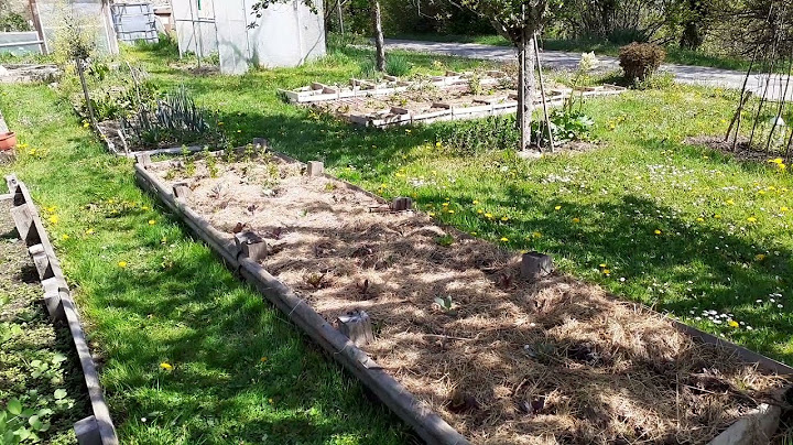 Fin Avril : où en sont les semis et plantations (potager 2022)