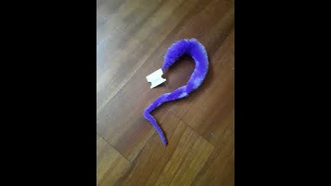 Magic Worm Twisty Trick Toy REVIEW PURCHASED FROM GEARBEST