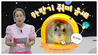 국모무당이 알려주는 2022년 하반기 운세 EP.1 (쥐띠) 재물운? 귀인? 사고수?삼재지만 악삼재가 아니여…