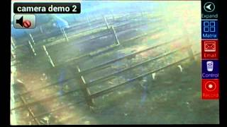 Panasonic BB-HCM371 - Cam Viewer for PANASONIC cameras screenshot 5