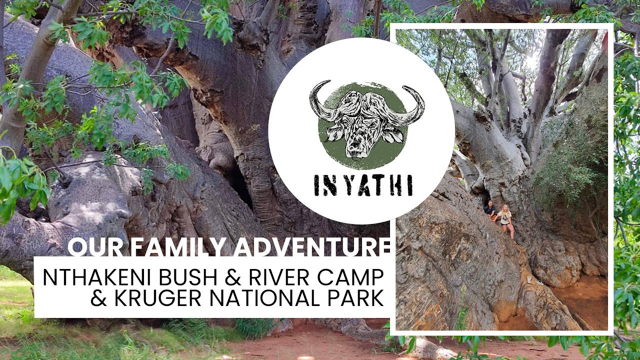 Nthakeni Bush & River Camp / Kruger National Park!