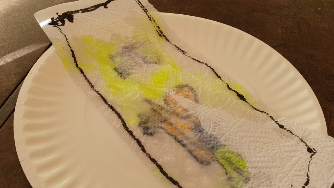 122 Nico's Fun Magic Art Paper towel Trick YouTube