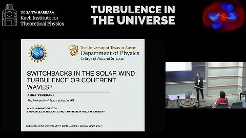 Switchbacks in the solar wind: turbulence or coherent waves? ▸ Anna Tenerani (Texas)