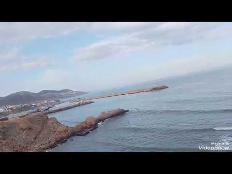 إذا تبايعتم بالع ينة وأخذتم أذناب البقر ورضيتم بالزرع وتركتم الجهاد الشيخ الالباني 