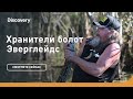 Секреты ночной охоты | Хранители болот Эверглейдс | Discovery