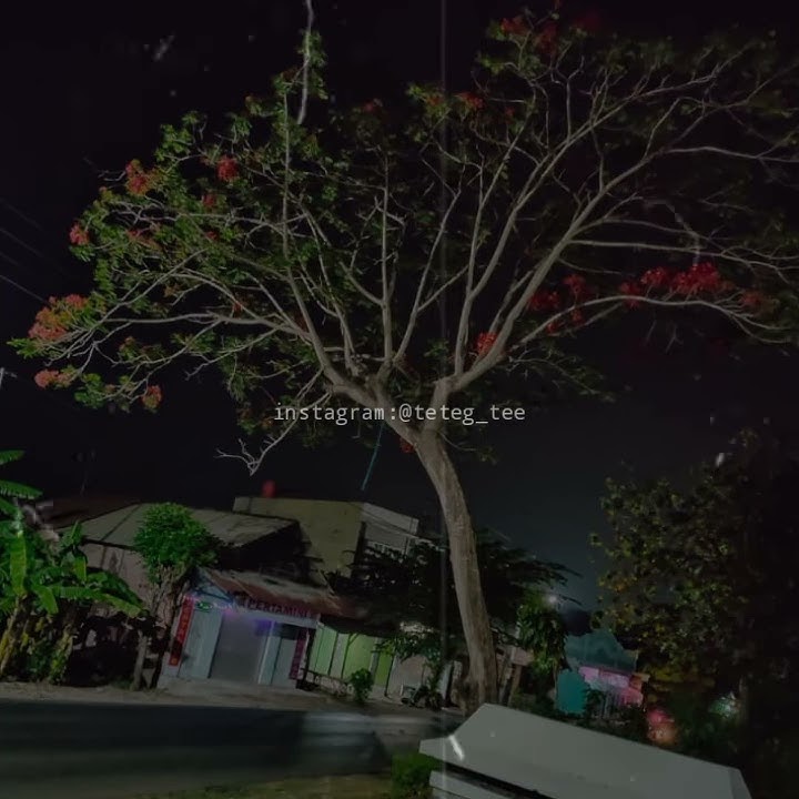 Story wa lagu- Trouble Is A Friend