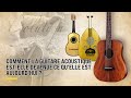 Comment la guitare acoustique est-elle devenue ce qu'elle est aujourdhui ?