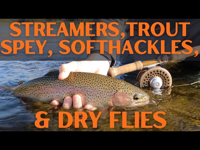 1wt trout spey w/ softhackles, streamer fishing, & dry flies