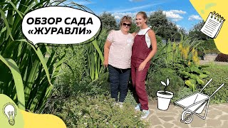 Обзор сада "Журавли" | Растения 12+ | Редкие растения | Ландшафтный дизайн с @leskovo.pitomnik