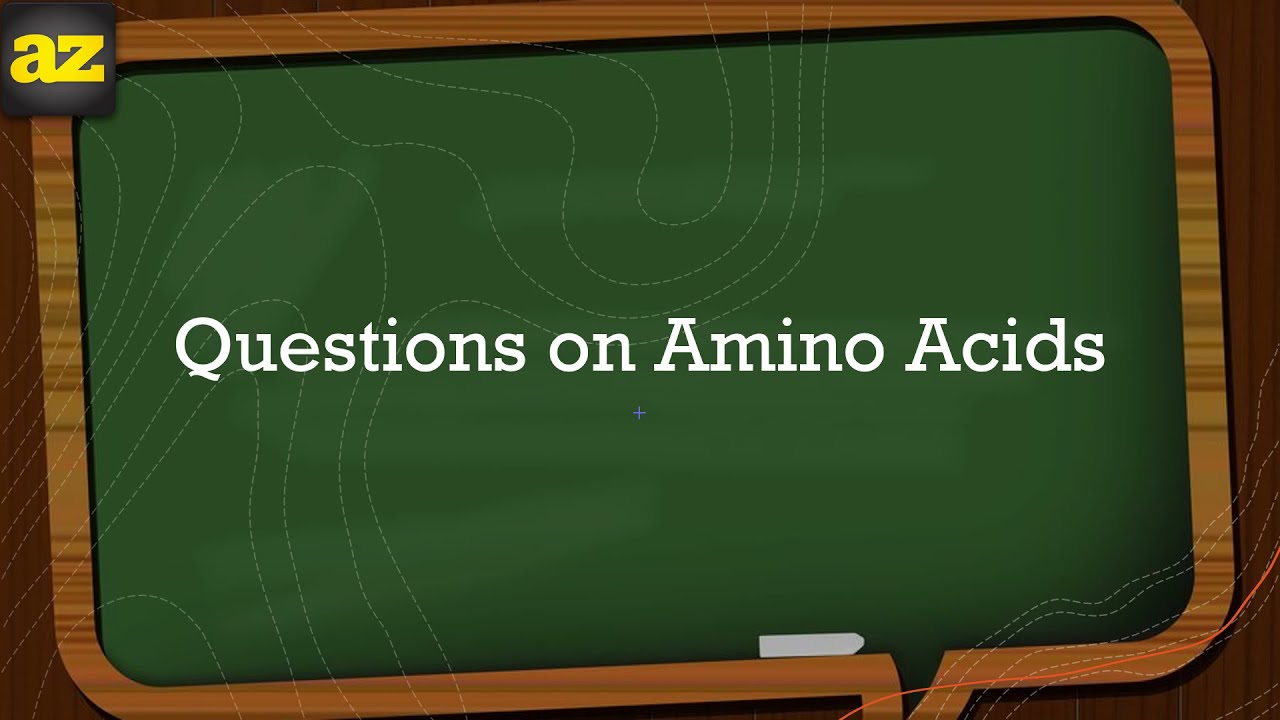 03. Amino acids MCQ questions and answer بالعربي YouTube